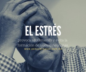 7 HÁBITOS QUE MATAN A LAS NEURONAS