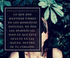 Cuando la ra&iacute;z es el amor