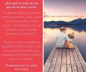 El pr&oacute;posito de un perro
