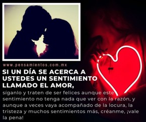 En busca de la raz&oacute;n...