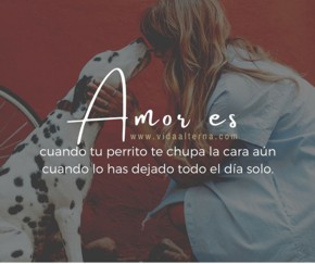 ¿Qué significa amor?