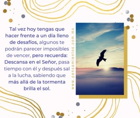 Rem&oacute;ntate como las &aacute;guilas