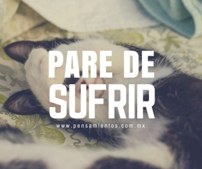 Sufrir, �por qu&eacute; o para qui&eacute;n?