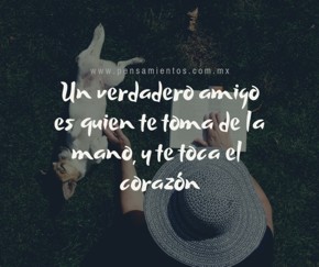 Trece l&iacute;neas para vivir